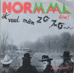 normaal - ik vuul mien zo zo  (met inlegvel)