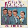 romantic flamingos - hasta manana