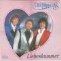 die flippers - liebeskummer