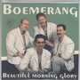 boemerang - beautiful morning glory