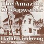 the amazing stroopwafels - hallo bandoeng