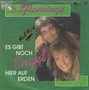 duo flamingo - es gibt noch engel